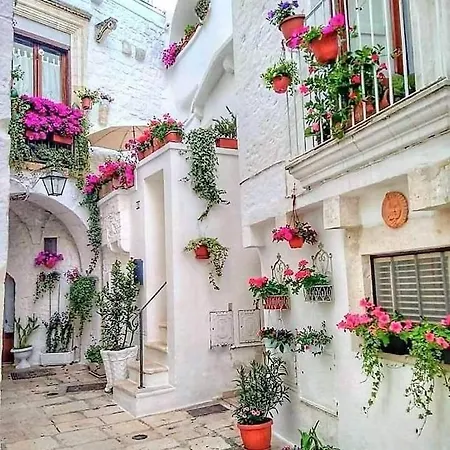 Buze Rodriguez Ostuni